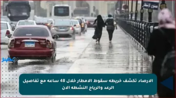 الأرصاد تكشف خريطة سقوط الأمطار خلال 48 ساعة مع تفاصيل الرعد والرياح النشطة الآن